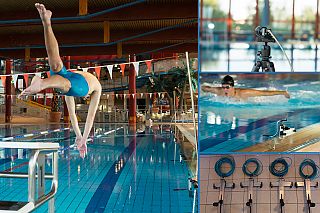 TEMPLO Swimming Performance Analysis Startanalysis Collage TEMPLO Swimming Performance Analysis Startanalysis Collage